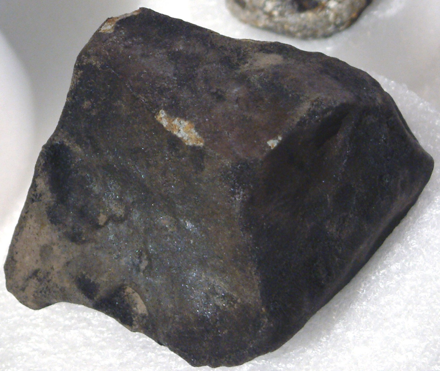A dark, rounded stone with a thin black crust and a few lighter patches where the crust has chipped